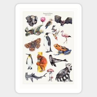 Biodiversity Poster Sticker